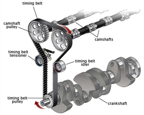 Timing-Belt